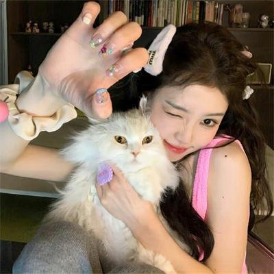猫山王中王